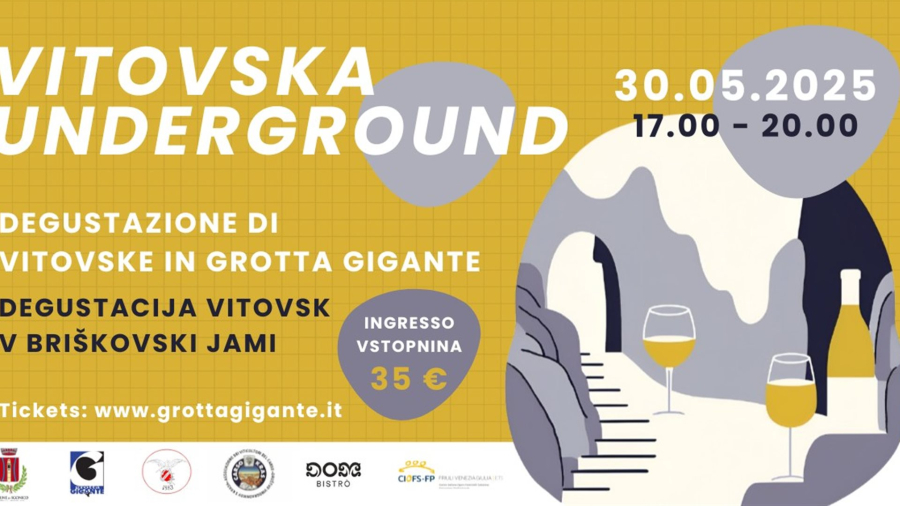 VITOVSKA UNDERGROUND - 30/05/2025 GROTTA GIGANTE
